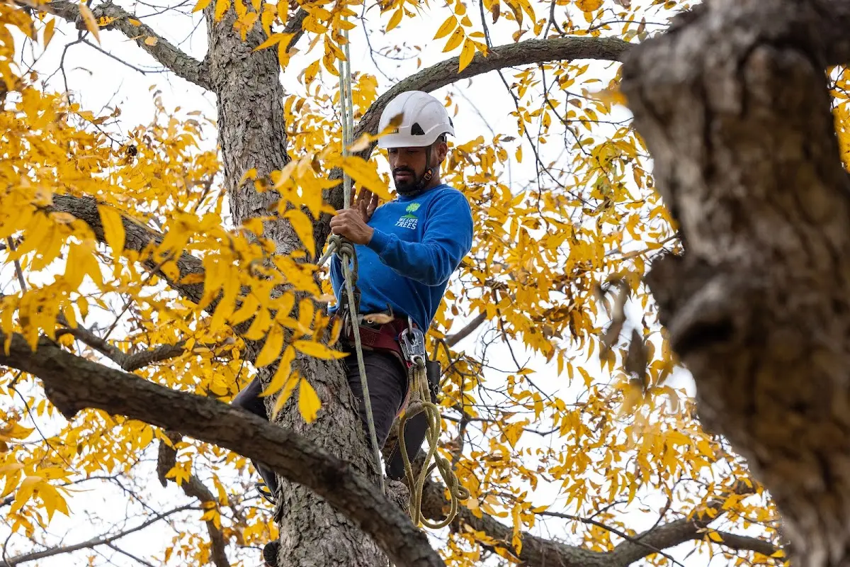Skilled Storm Damage Cleanup crew working in Landers