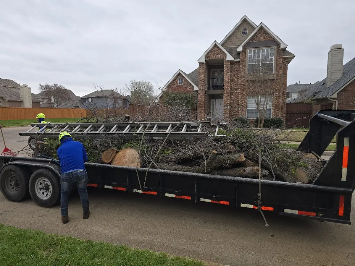Expert Tree Removal with proper safety equipment in Landers
